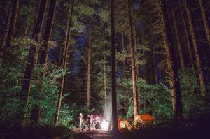 Image post by @foxmtb on Instagram