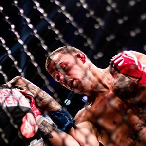 Image post by @bellatormma on Instagram