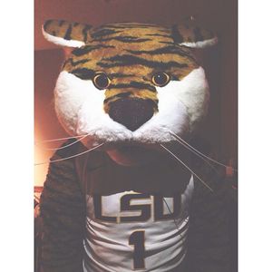 Image post by @lsumiketiger on Instagram