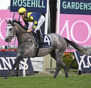Image post by @australianturfclub on Instagram