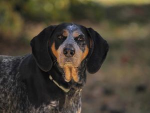 Image post by @alvaroportillo on Instagram