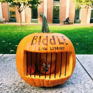 Image post by @penncareylaw on Instagram