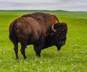 Image post by @nationalparkservice on Instagram