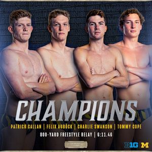 Image post by @umichswimdive on Instagram