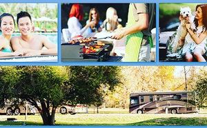 Image post by @c3rvsalesandrentals on Instagram