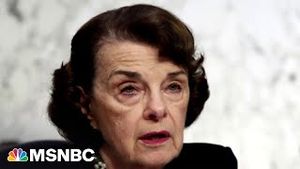 Video post by @msnbc on YouTube