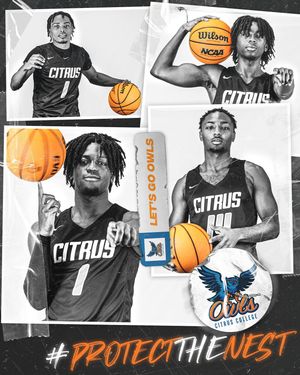 Image post by @mvmwdesign on Instagram