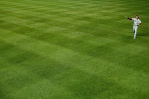 Image post by @michaelmreaves on Instagram