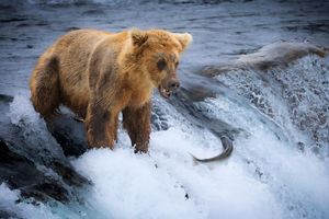 Image post by @nationalparkspartnership on Instagram