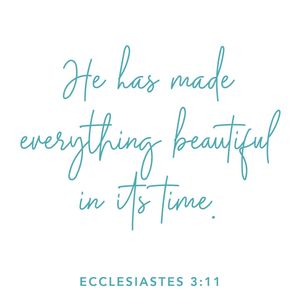 Image post by @pinkstork on Instagram