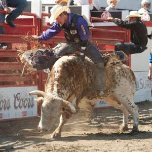 Image post by @cloverdalerodeo on Instagram