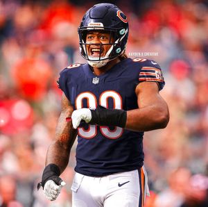 Image post by @dachibearsnews on Instagram