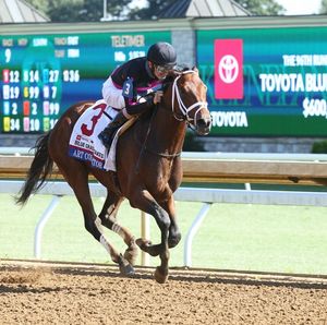 Image post by @thebloodhorse on Instagram