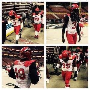 Image post by @jaxsharks on Instagram