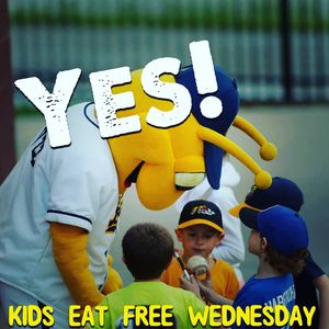 Image post by @burlington_bees on Instagram