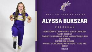 Image post by @valkyriessoftball on Instagram