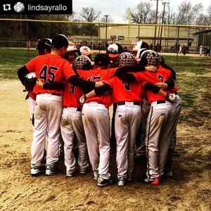 Image post by @rawlingstigers on Instagram