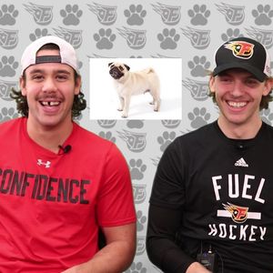 Image post by @indyfuel on Instagram
