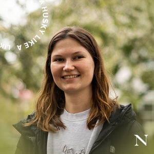 Image post by @northeastern on Instagram