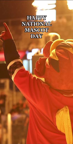 Video post by @nitroindyfuel on Twitter