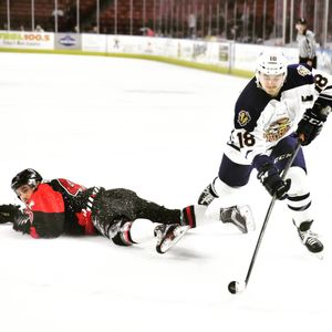Image post by @swamprabbits on Instagram
