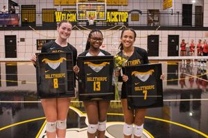 Image post by @gopetrels on Instagram