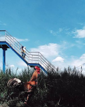 Image post by @instagram on Instagram
