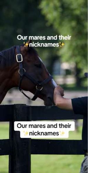 Video post by @spendthriftfarm on TikTok
