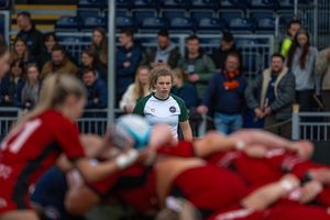 Image post by @bucssuperrugby on Instagram