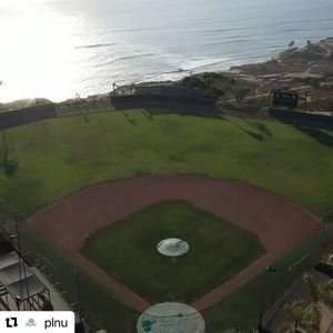 Image post by @plnusealions on Instagram