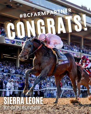 Image post by @BreedersCup on Twitter