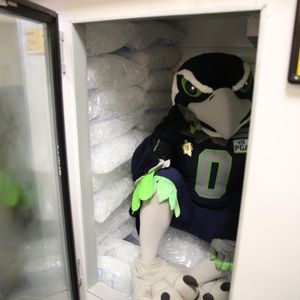 Image post by @blitztheseahawk on Instagram