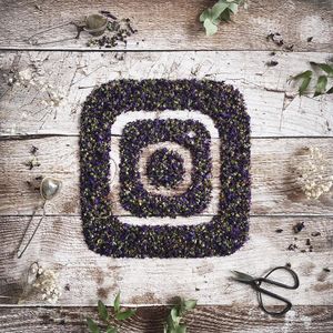 Image post by @instagram on Instagram