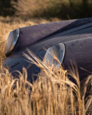 Image post by @porsche on Instagram