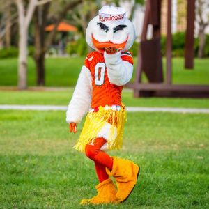 Image post by @univmiami on Instagram