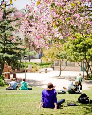 Image post by @sdsuadmissions on Instagram