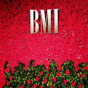 Image post by @bmi on Instagram