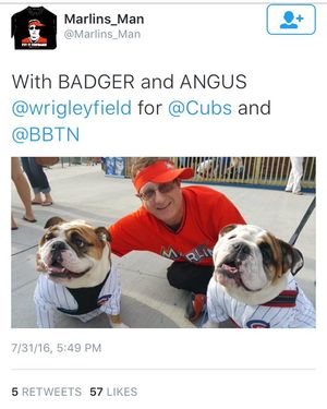 Image post by @chicagocubsnation on Instagram
