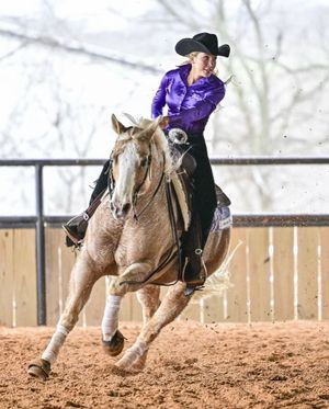 Image post by @tcuequestrian on Instagram