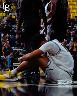 Image post by @lbsumbb on Instagram