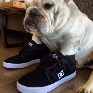 Image post by @robdyrdek on Instagram