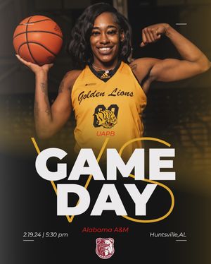 Image post by @uapblionswbb on Instagram
