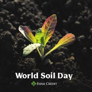 Image post by @farmcredit on Instagram