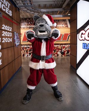 Image post by @zagmbb on Instagram