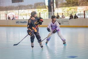 Image post by @the_rinks on Instagram