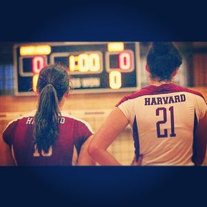 Image post by @harvardwvball on Instagram
