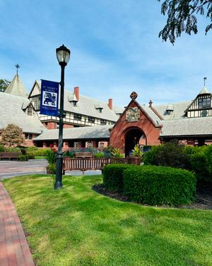 Image post by @smlions on Instagram