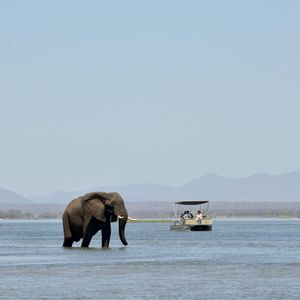 Image post by @chiawasafaris on Instagram