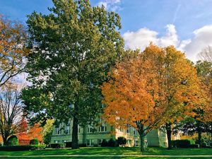 Image post by @olivetnazarene on Instagram
