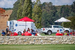 Image post by @NZHorseAmbulanceTrust on Facebook